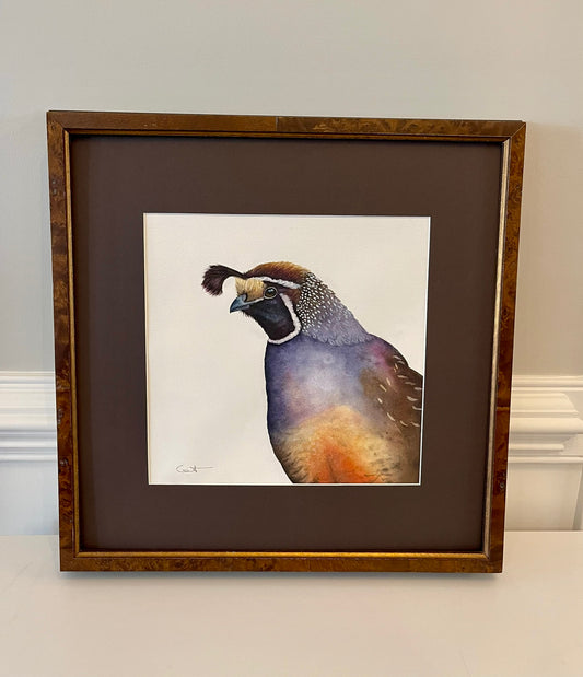 Framed artwork of a quail on a plain background