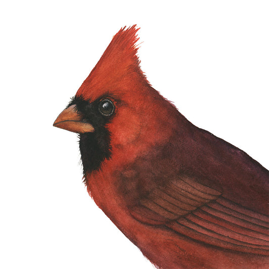 NORTHERN CARDINAL PORTRAIT | Original Watercolor Painting