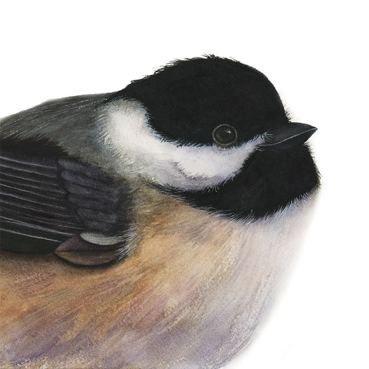 FLUFFY CHICKADEE PORTAIT | Original Watercolor Painting