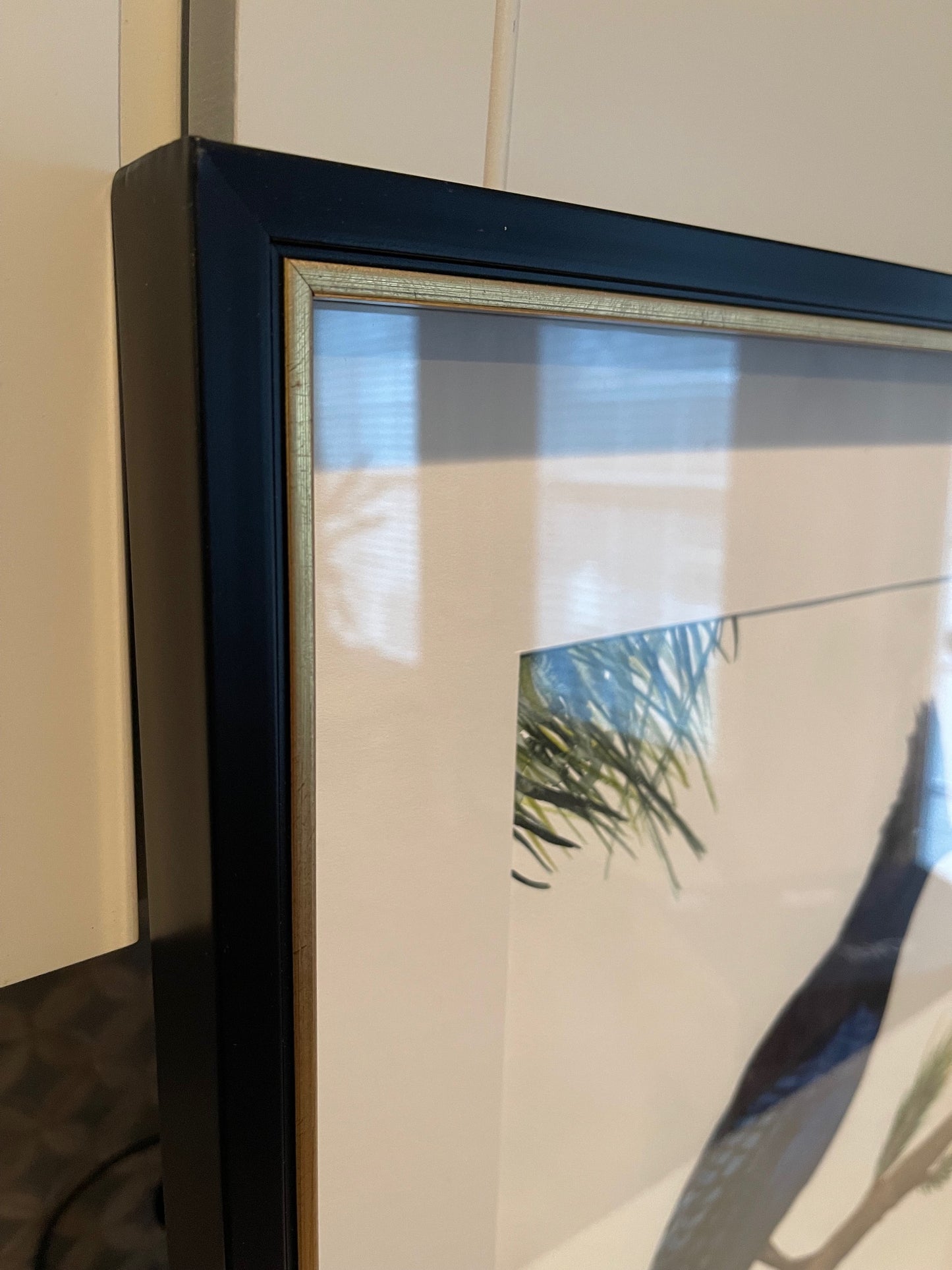 STELLER'S JAY | Original Watercolor Painting