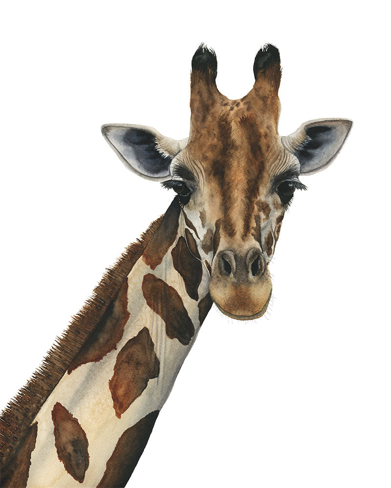 JASPER | Giraffe Art | Original Watercolor Painting