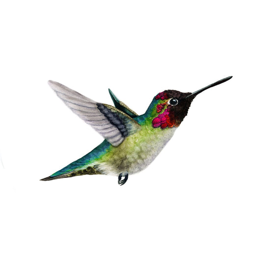 TINY DANCER | Hummingbird Art | Original Watercolor Painting
