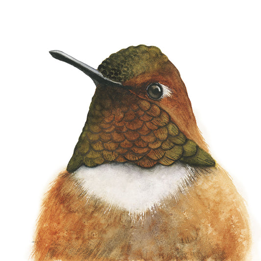 RUFOUS HUMMINGBIRD PORTRAIT | Original Watercolor Painting