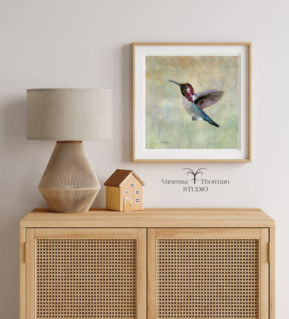 Bee Hummingbird - Fine Art Print