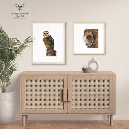 Barn Owl I - Fine Art Print