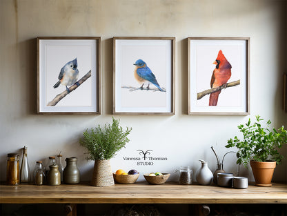 Bluebird - Fine Art Print