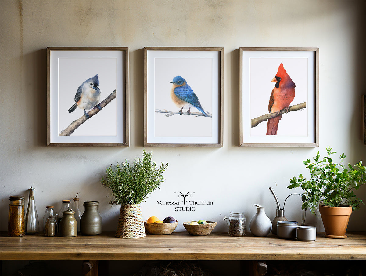 Eastern Bluebird | Bluebird Watercolor Art Print | Bird Art Giclée