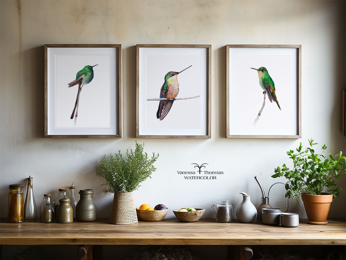 Calliope Hummingbird | Hummingbird Watercolor Art Print | Bird Art Giclée