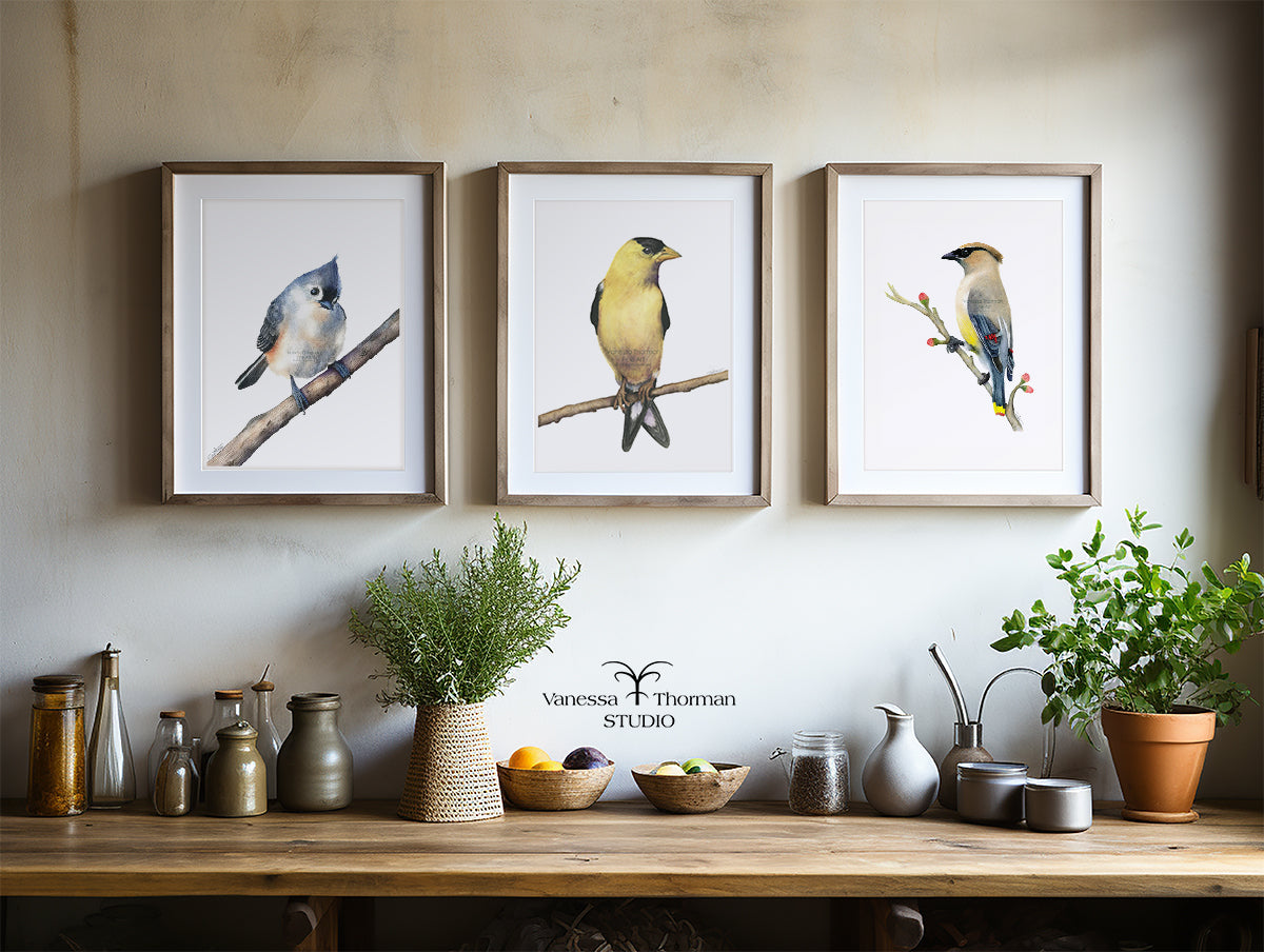 Cedar Waxwing | Waxwing Watercolor Art Print | Bird Art Giclée