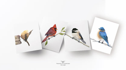 Birds of the Carolinas  - Folded Note Cards