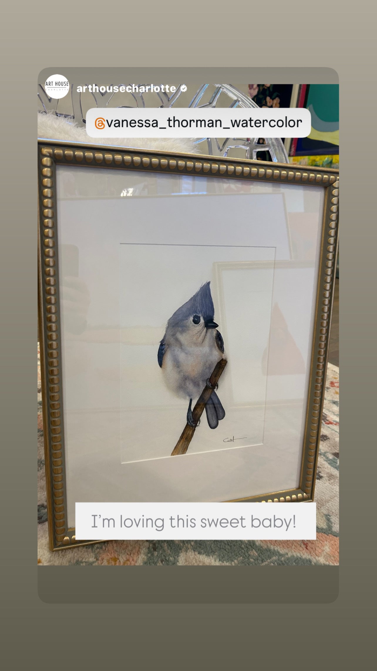 WINTER'S CROWN | Tufted Titmouse Watercolor Art | Original Bird Painting by Vanessa Thorman