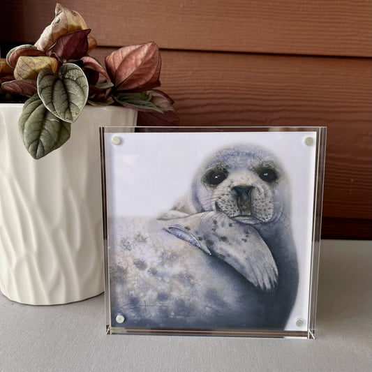 Framed desk art of a seal 