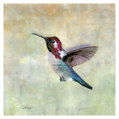 Bee-Hummingbird-watercolor-art-print-1