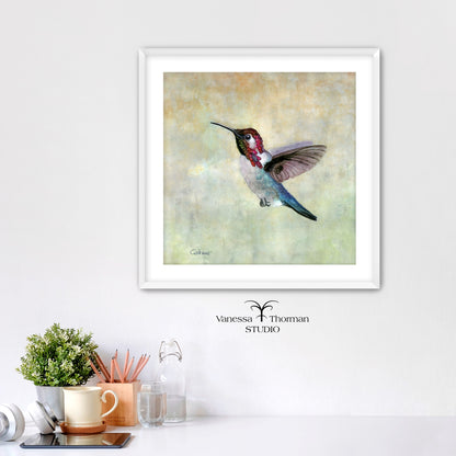 Bee-Hummingbird-watercolor-art-print-1