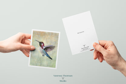 Bee Hummingbird - Bird Note Cards