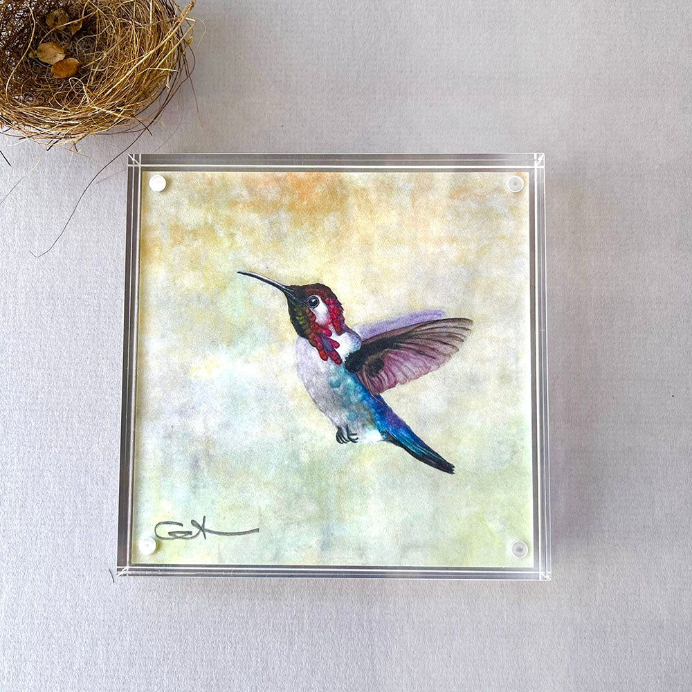 Framed desk art of a hummingbird
