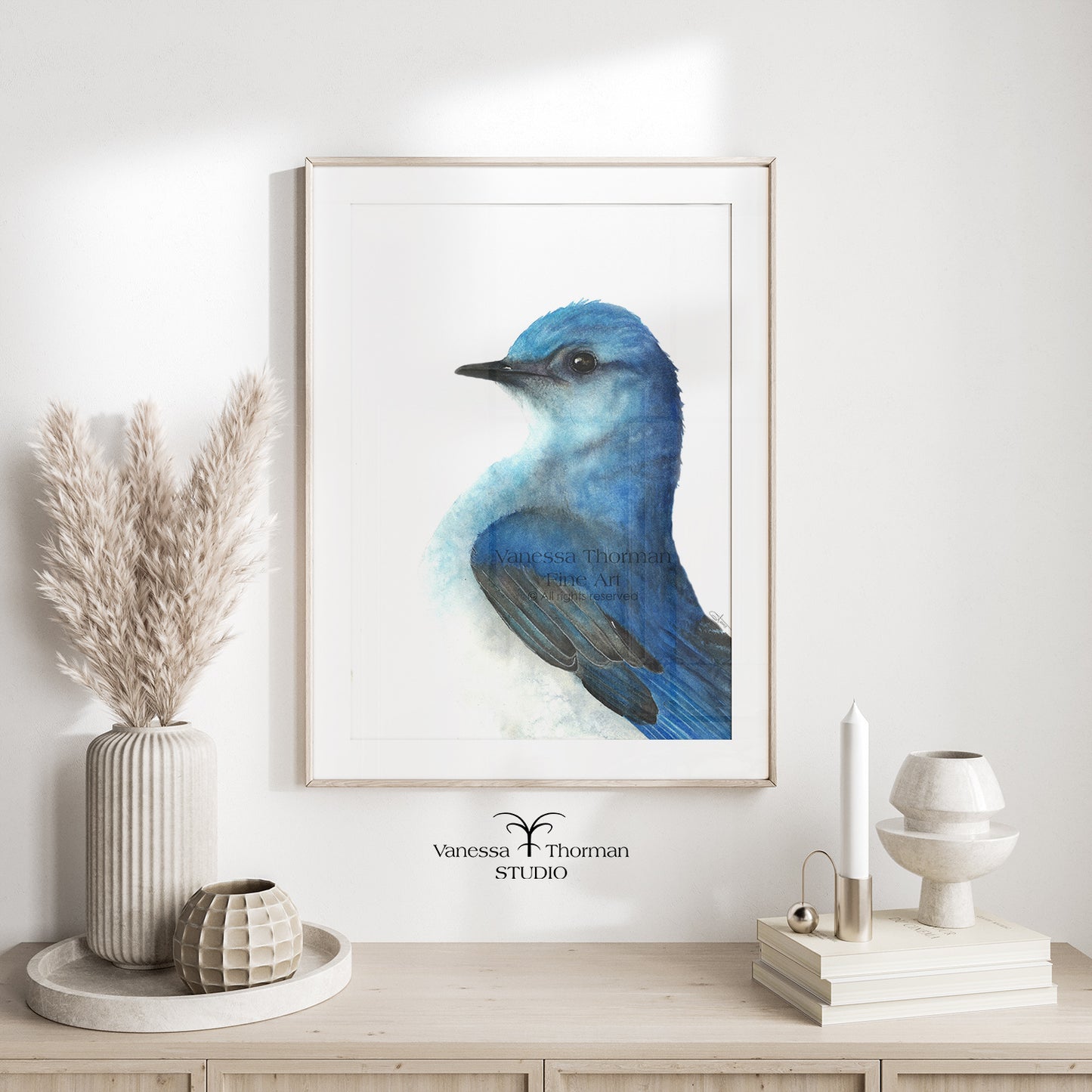 Mountain Bluebird - Fine Art Print