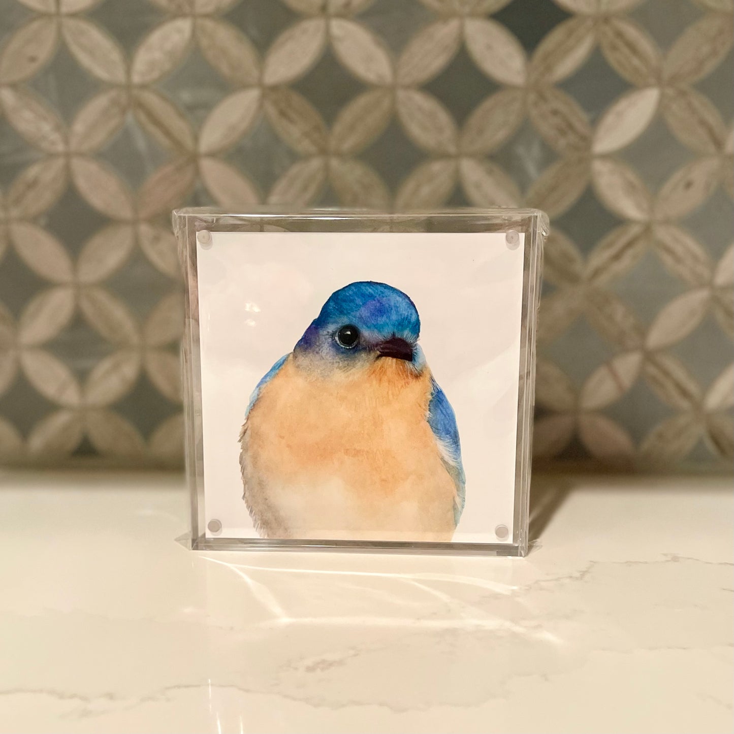 Bernard-the-Bluebird-Acrylic-Block-Art-1