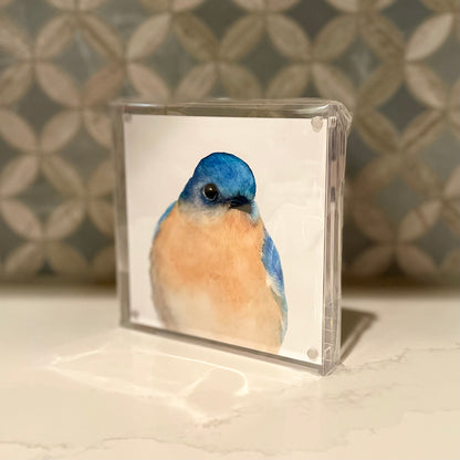 Bernard-the-Bluebird-Acrylic-Block-Art-1