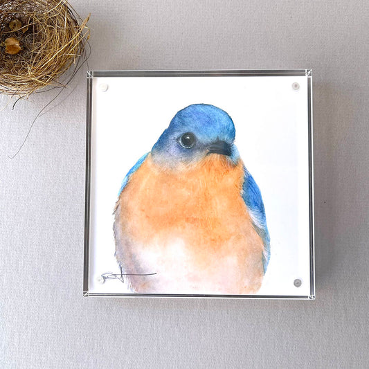 Bernard the Bluebird | Bluebird Desk Art – 5x5 Watercolor Print