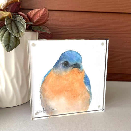 Bernard the Bluebird | Bluebird Desk Art – 5x5 Watercolor Print