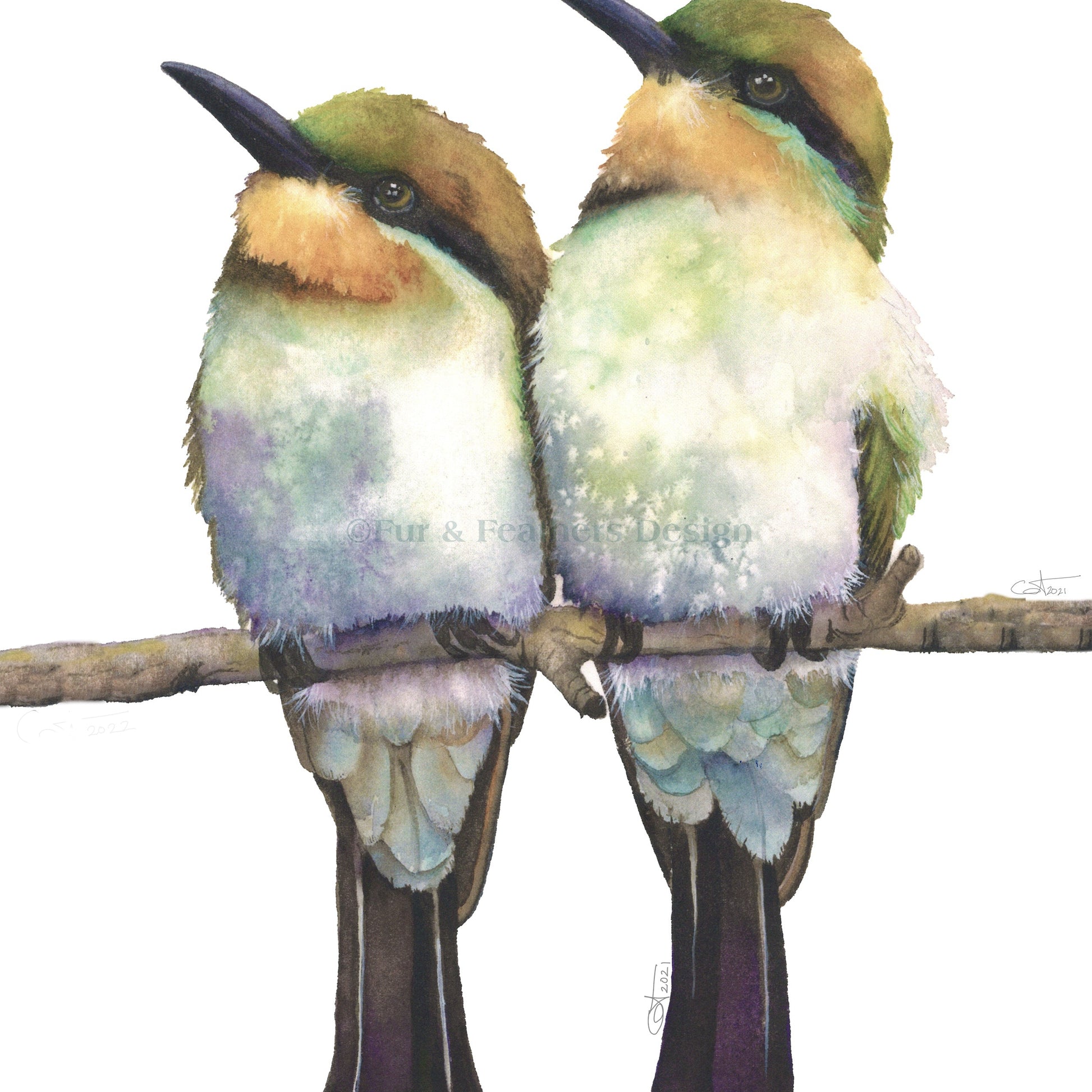 Birds-of-a-feather-watercolor-art-print-1