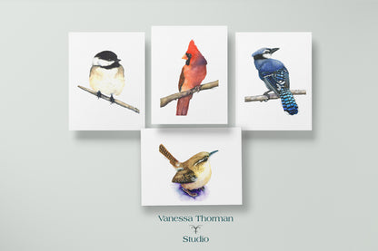 Cardinal I - Pack of 8 Bird Note Cards