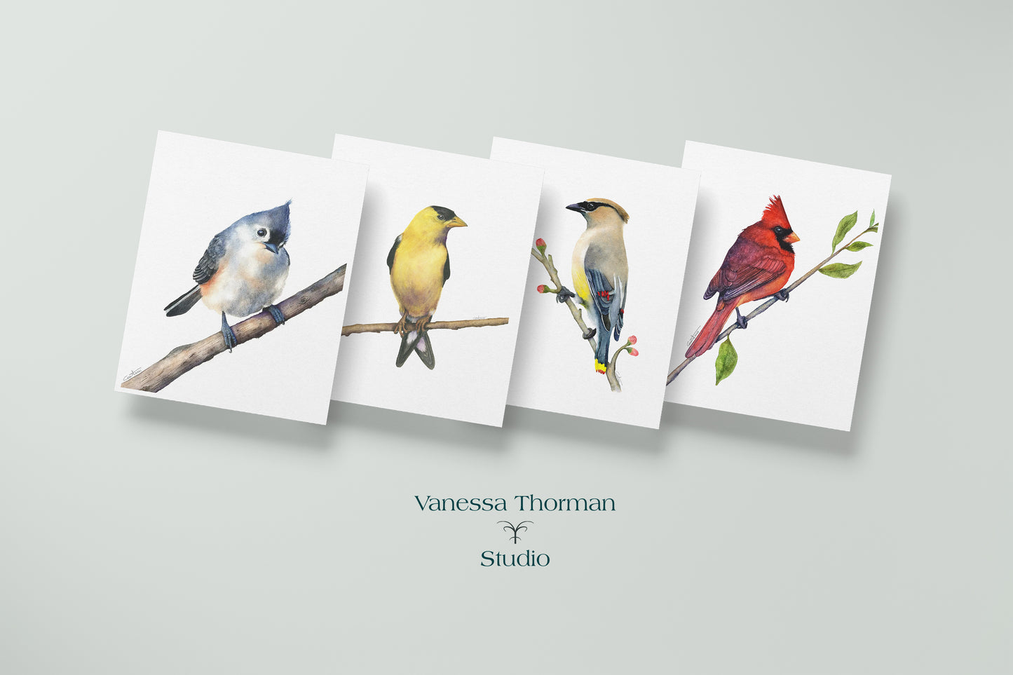 American Goldfinch - Bird Note Cards