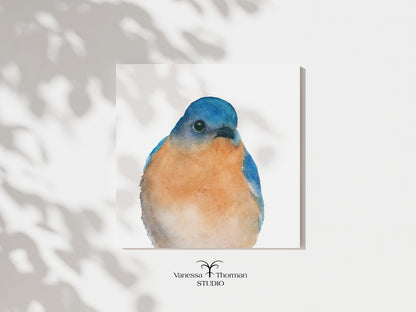 Bluebird-watercolor-art-print-1
