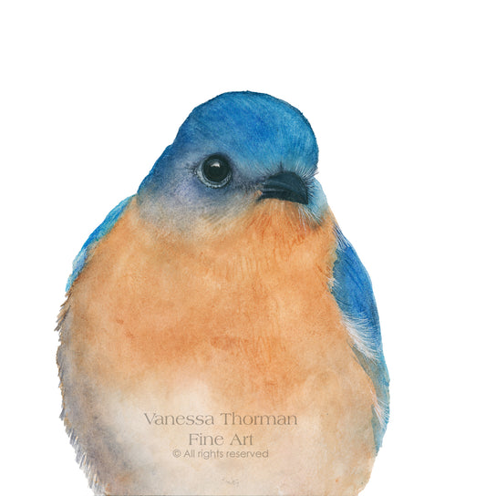 Bluebird-watercolor-art-print-1