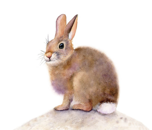 SOME BUNNY TO LOVE | Bunny Watercolor Fine Art Print | Woodland Animal Art