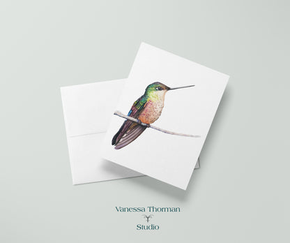 Calliope Hummingbird - Bird Note Cards
