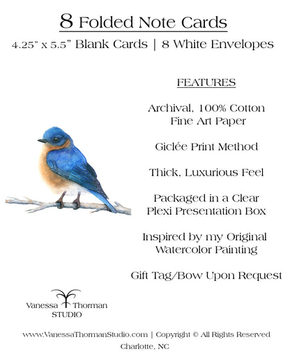 Bluebird - Bird Note Cards