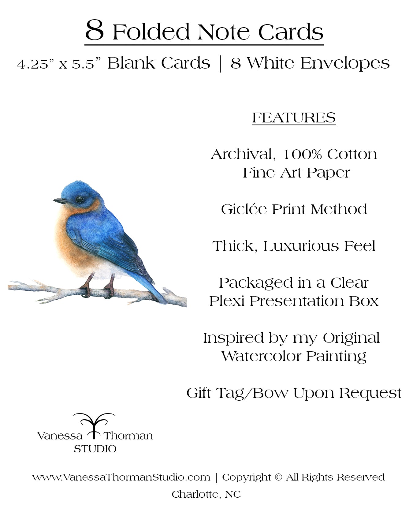 Bluebird - Bird Note Cards