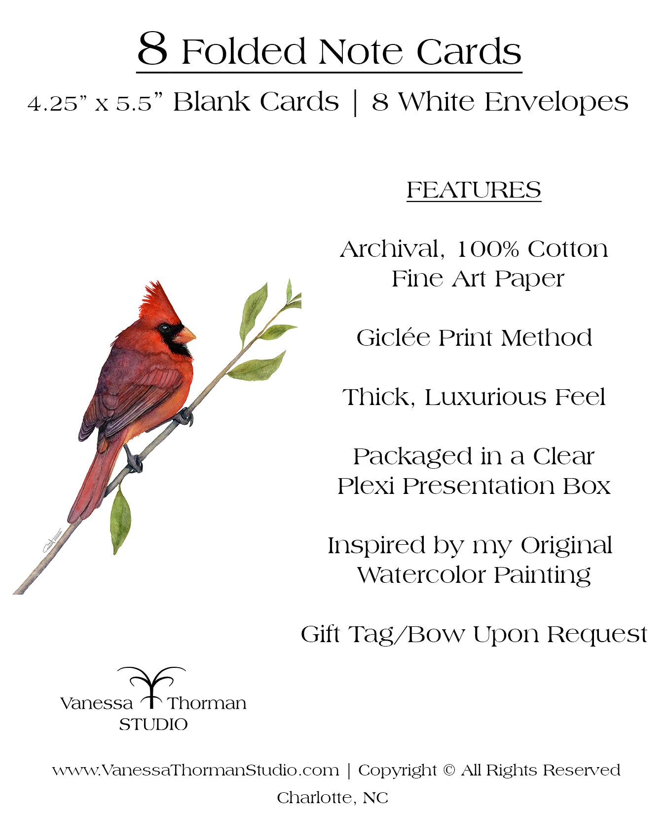 Northern Cardinal II - Bird Note Cards