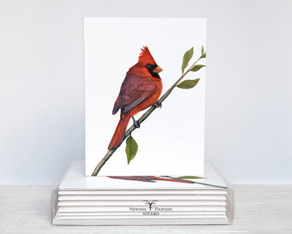 Northern Cardinal Folded Notecards | Set of 8 Blank Greeting Cards