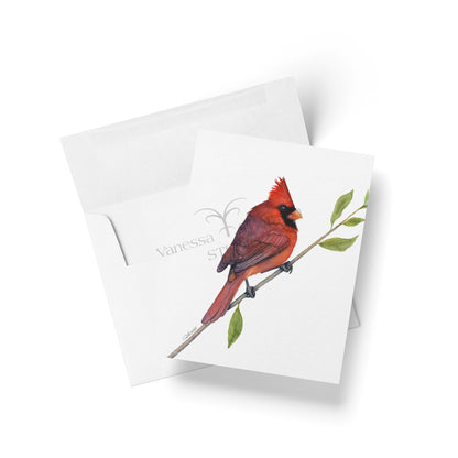 Northern Cardinal Folded Notecards | Set of 8 Blank Greeting Cards