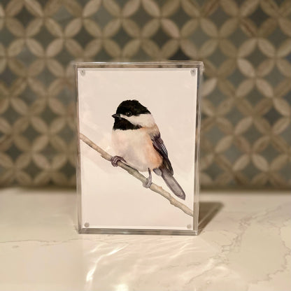 Carolina-Chickadee-Watercolor-Art-in-Acrylic-Block-Frame-1