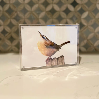 Carolina-Wren-Watercolor-Art-in-Acrylic-Block-Frame-1
