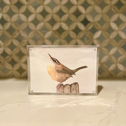 Carolina Wren Watercolor Art in Acrylic Block Frame – 5x7 Fine Art Print by Award-Winning Artist