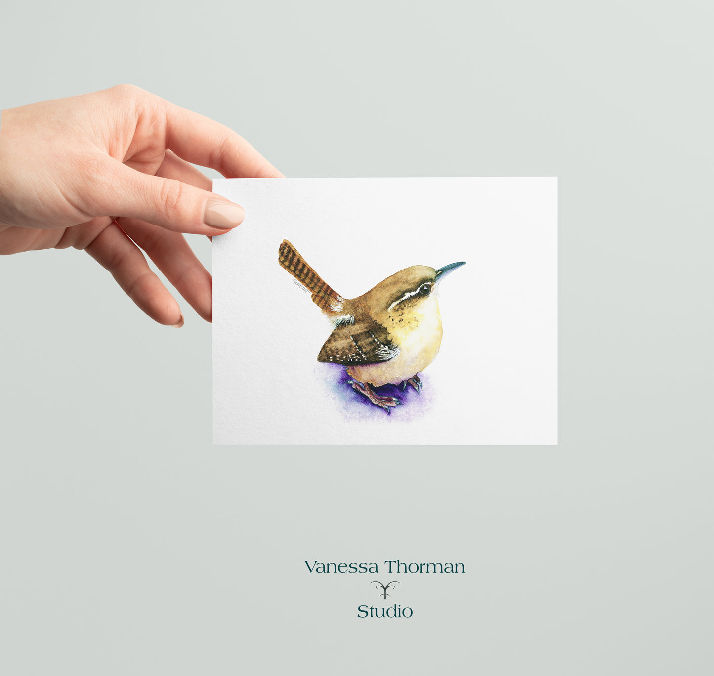 Carolina Wren I - Bird Note Cards