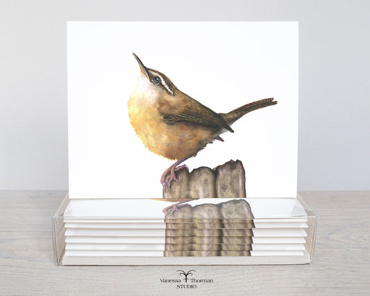 Carolina Wren Folded Notecards | Set of 8 Blank Greeting Cards