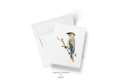 Cedar Waxwing - Bird Note Cards