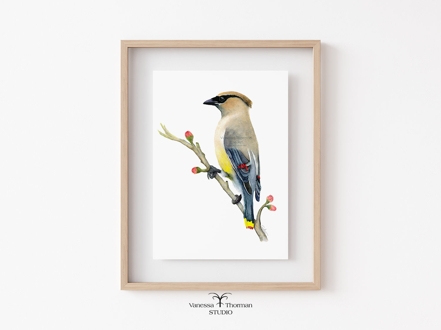 Cedar-Waxwing-Watercolor-Art-Print-1