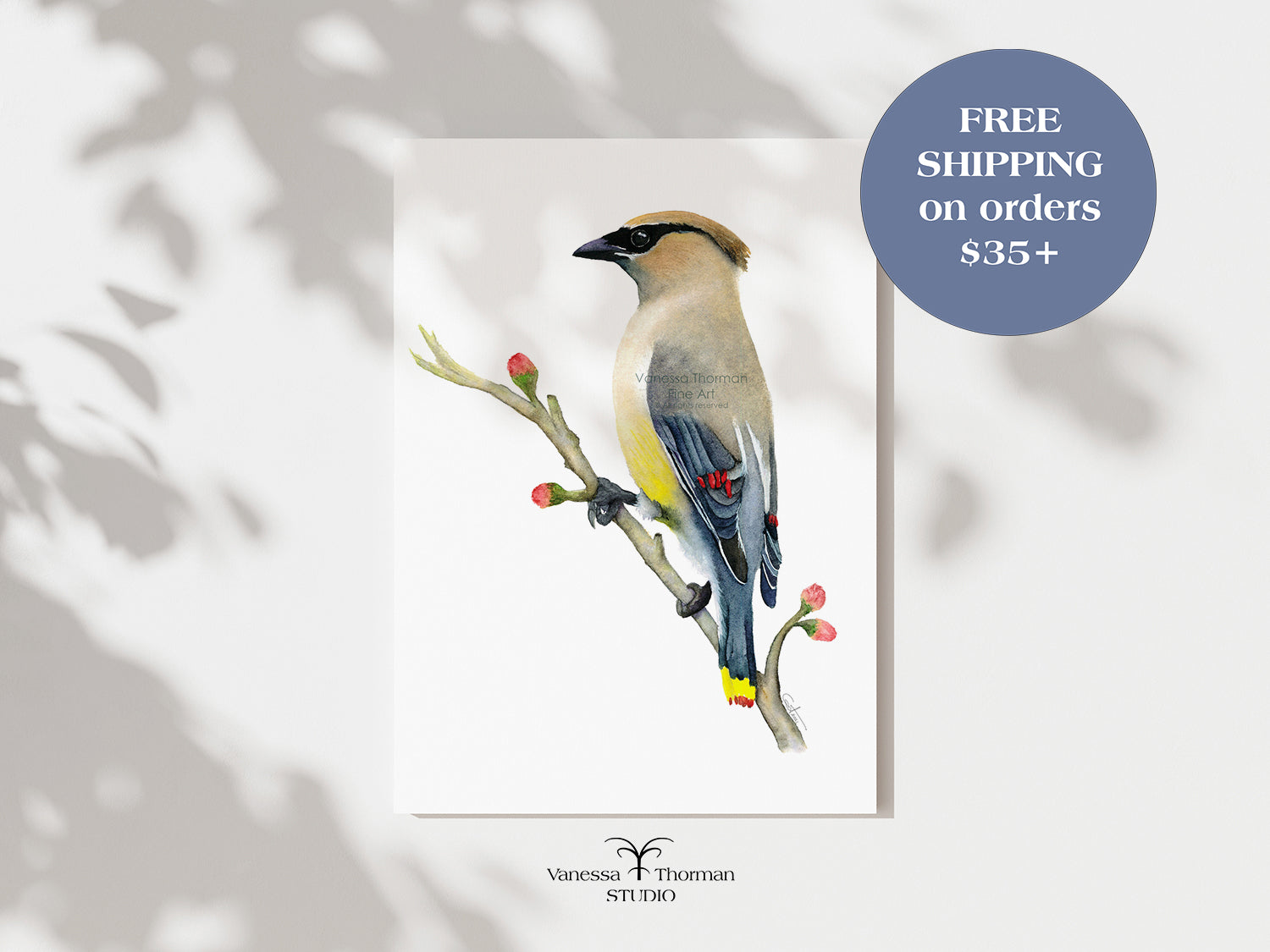 Cedar-Waxwing-Watercolor-Art-Print-1