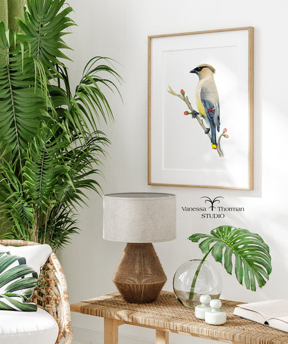 Cedar-Waxwing-Watercolor-Art-Print-1
