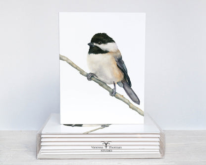 Carolina Chickadee Folded Notecards | Set of 8 Blank Greeting Cards