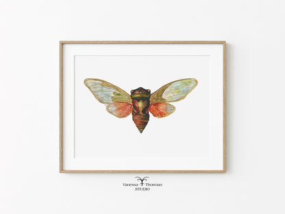 Cicada-watercolor-art-print-1