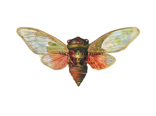 Cicada Watercolor Art Print – Symbol of Transformation and Renewal – Fine Art Giclée
