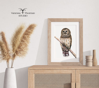 Barred Owl Watercolor Art Print – Woodland Art - Fine Art Giclée